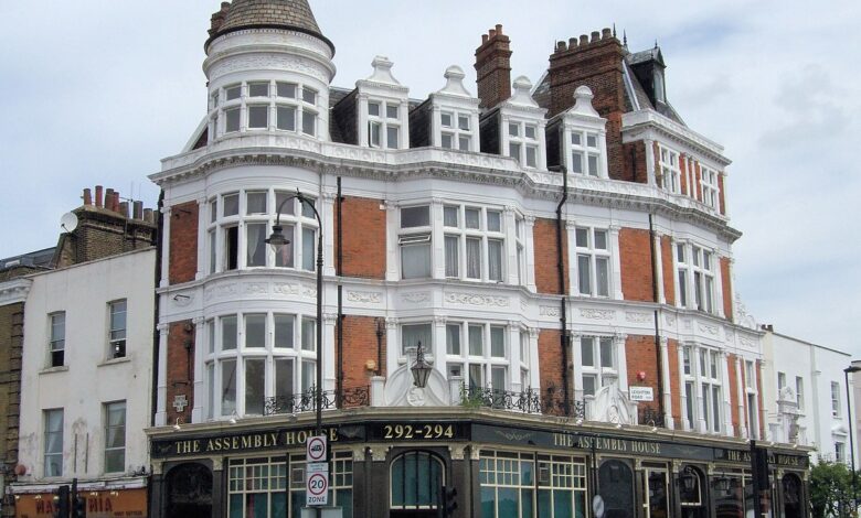Discovering Parakeet Kentish Town A Hidden Gem in London Kentish Town